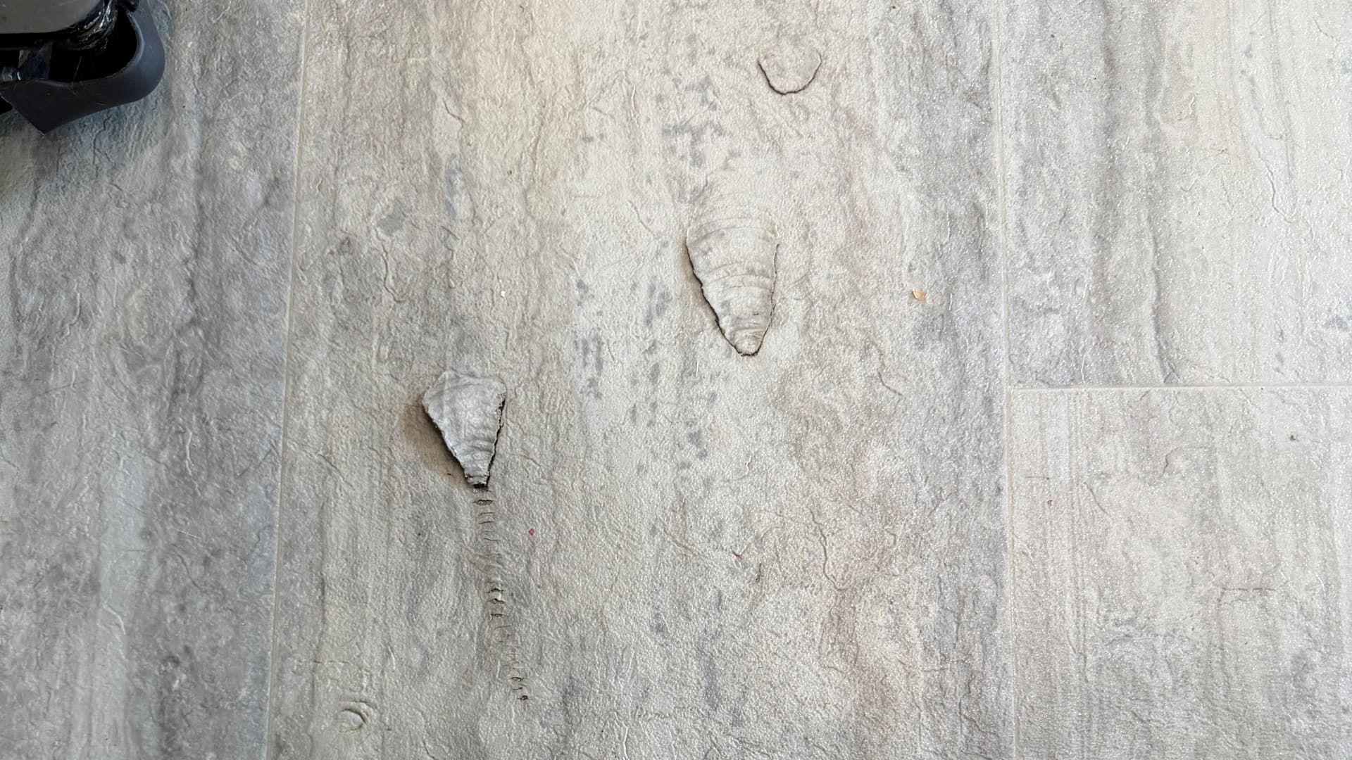 Three tears and smaller divots in Mannington sheet vinyl before a localized Bristol kitchen repair