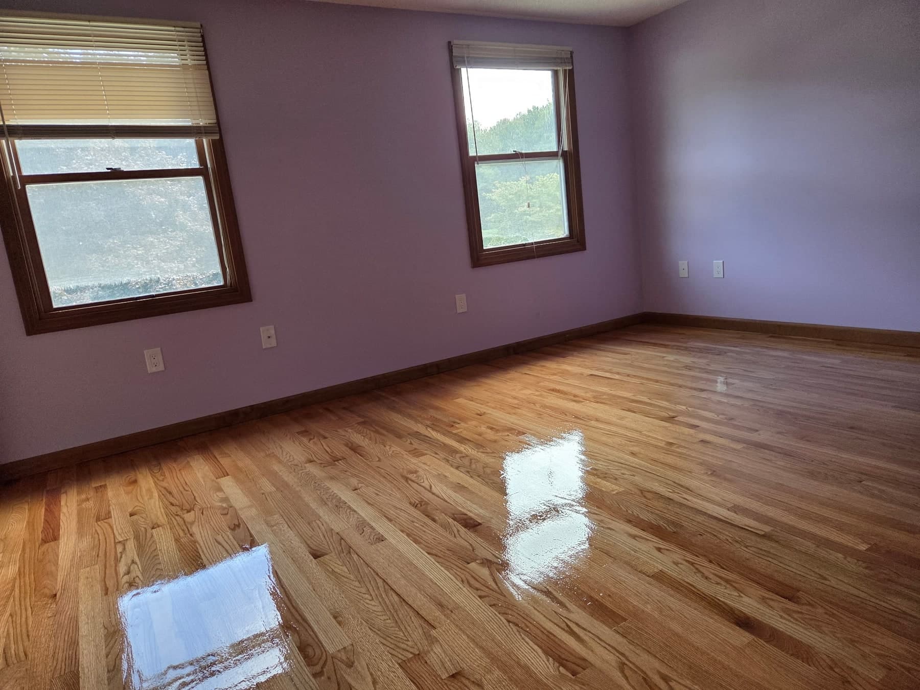 Stained and refinished hardwood floor in an Enfield bedroom with lavender walls and window reflections